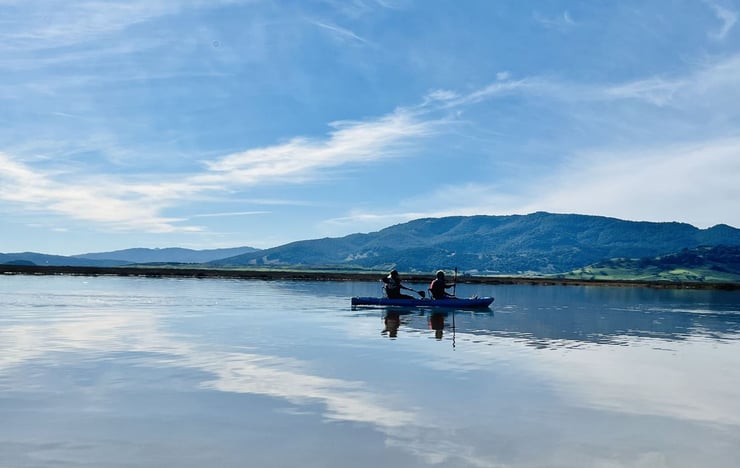 Kayakers enjoy paddling the petaluma river under a blue sky