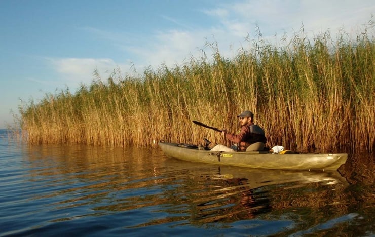 A kayaker enjoys paddling along the Napa River marshlands